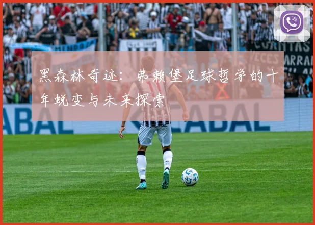 黑森林奇迹：弗赖堡足球哲学的十年蜕变与未来探索