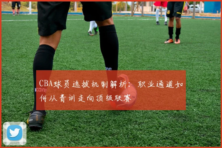 CBA球员选拔机制解析：职业通道如何从青训走向顶级联赛
