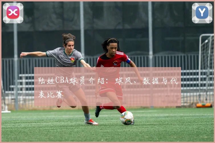 陆姓CBA球员介绍：球风、数据与代表比赛