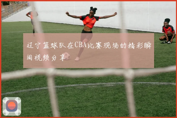 辽宁篮球队在CBA比赛现场的精彩瞬间视频分享