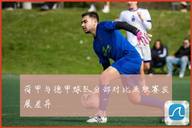 荷甲与德甲球队分部对比及联赛发展差异